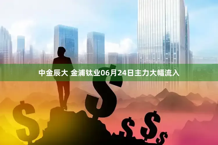 中金辰大 金浦钛业06月24日主力大幅流入