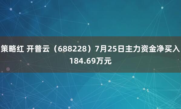 策略红 开普云（688228）7月25日主力资金净买入184.69万元