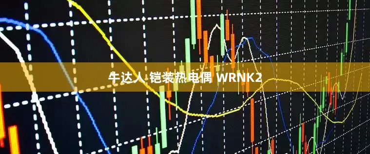 牛达人 铠装热电偶 WRNK2
